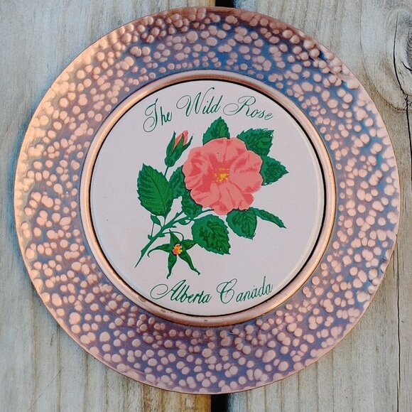Beautiful Copper The Wild Rose Wall Hanging Plaque - Picture 1 of 2